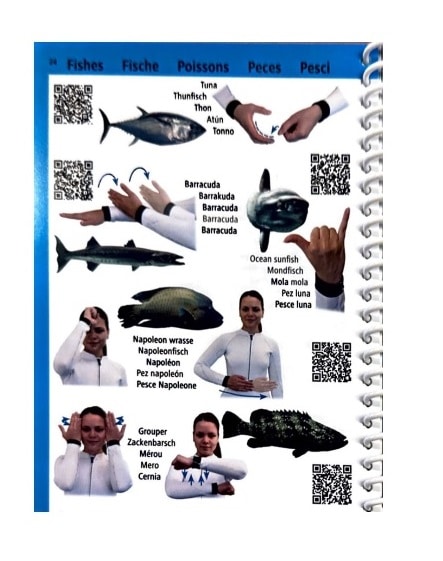 Pictolife Dive Handsignals - Image 2