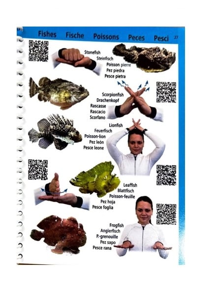 Pictolife Dive Handsignals - Image 3