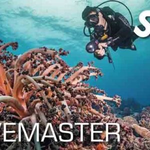 SSI Divemaster start rond 17 augustus