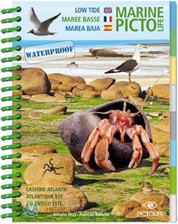 Pictolife Low Tide Atlantische Oceaan