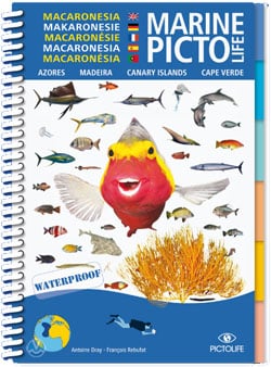Pictolife Marine Macronesia