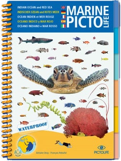 Pictolife Marine Rode Zee