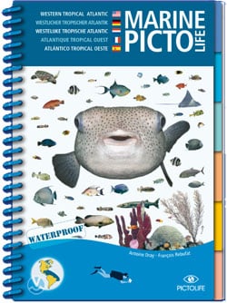Pictolife Marine West Atlantische Oceaan