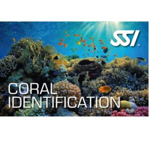 SSI Coral Identification Specialty Cursus