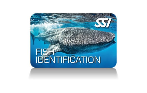 SSI Fish Identification Specialty Zelfstudie