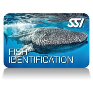 SSI Fish Identification Specialty Cursus