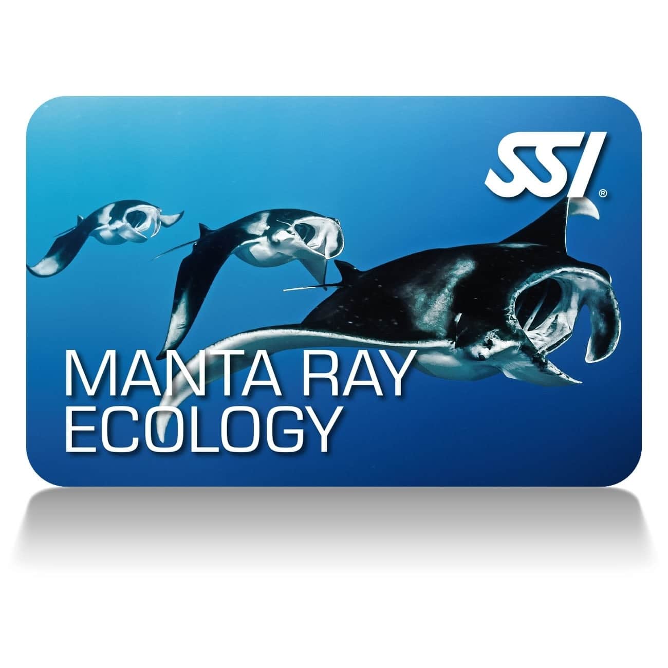 SSI Manta and Ray Ecology Specialty Zelfstudie