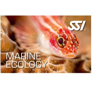 SSI Marine Ecology Specialty Cursus